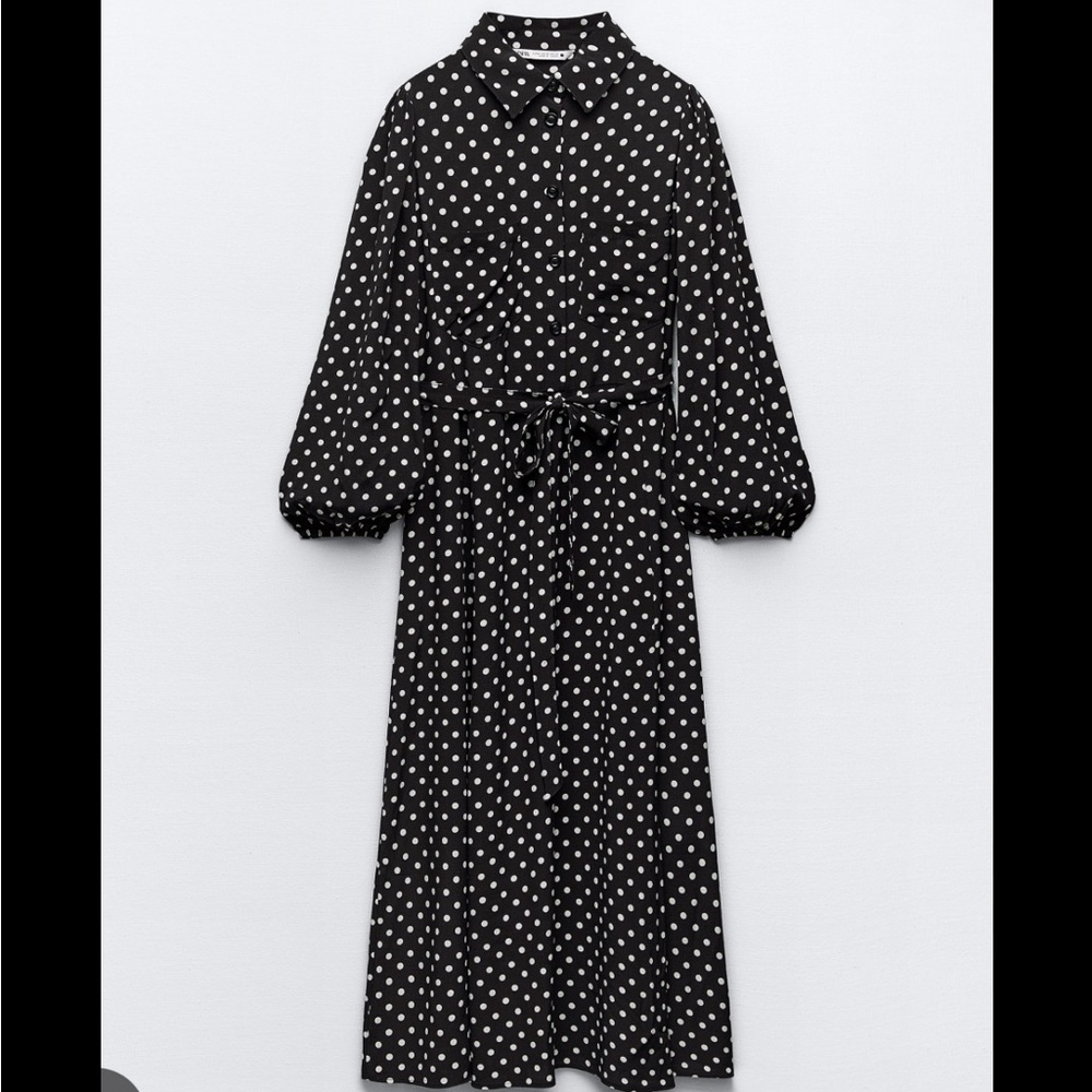 Zara Polka dot dress